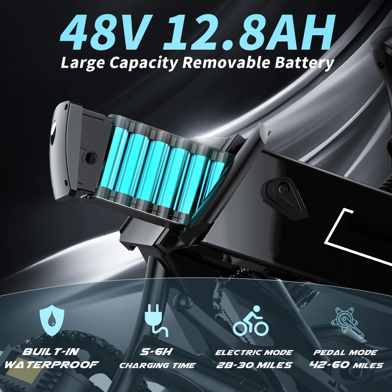 Electric Bike 750W Motor Fat Tire Ebike with Samsung 48V Battery